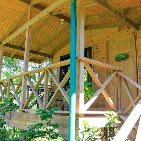 Forest Lodge Увита Экстерьер фото
