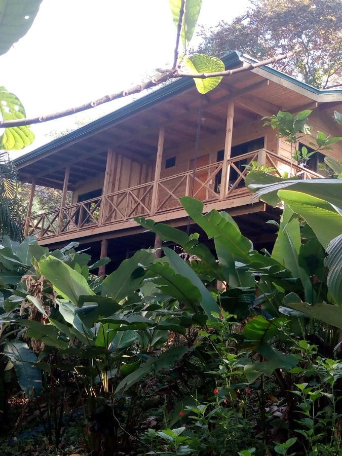 Forest Lodge Увита Экстерьер фото