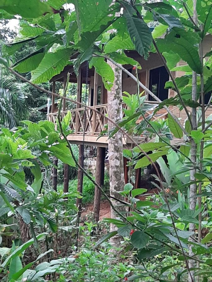 Forest Lodge Увита Экстерьер фото