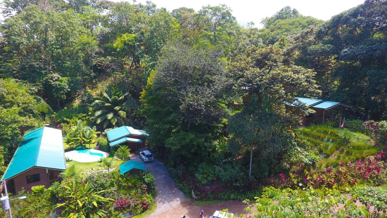 Forest Lodge Увита Экстерьер фото